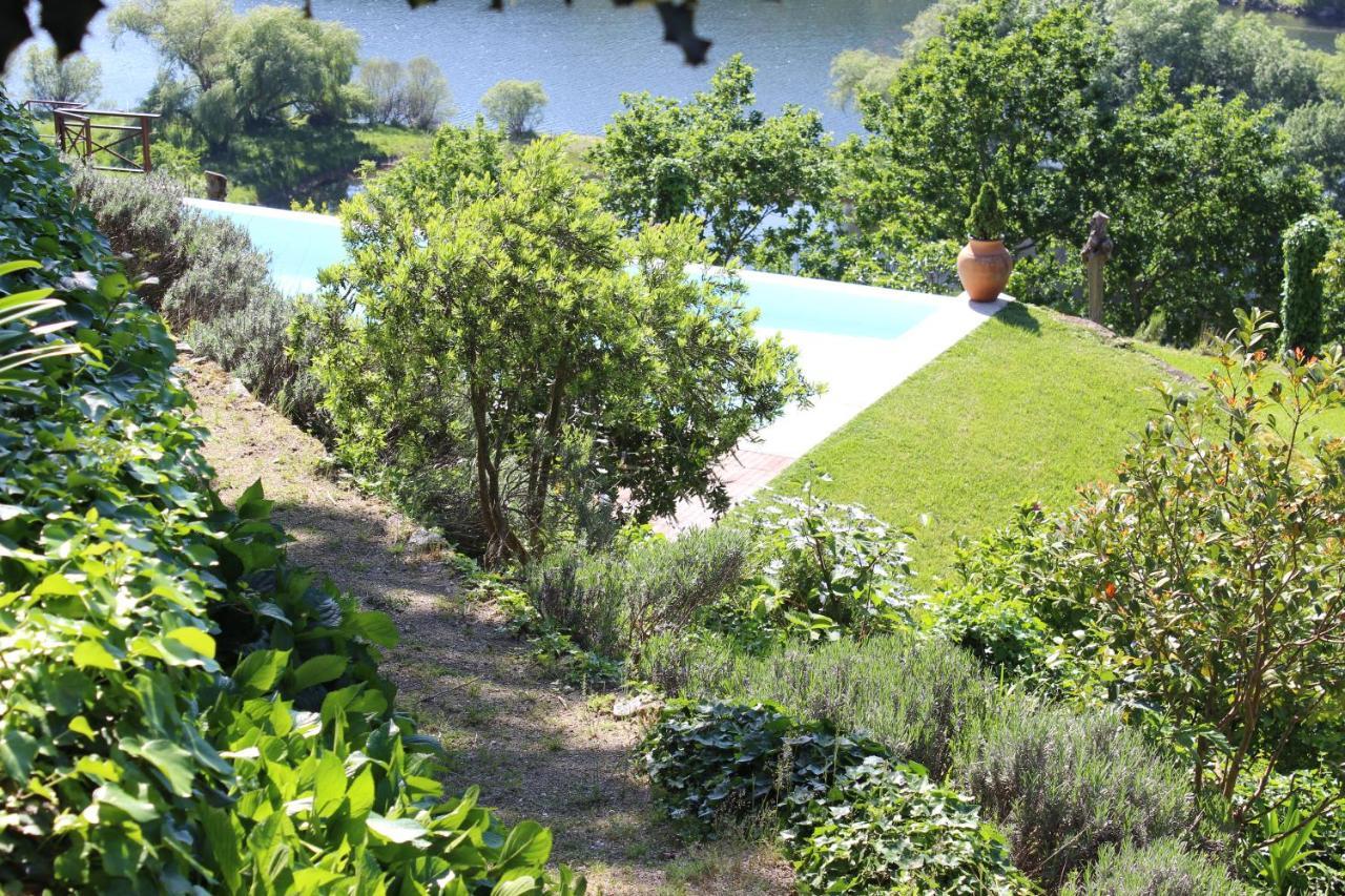 "Bouca Drigues" Casa Antiga De Pedra Com Piscina E Vista Rio Villa Amarante Exterior photo